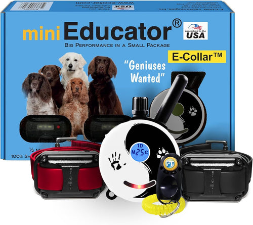 Educator ET-300 Mini E Collar for Dog Training with Remote - 1/2 Mile Range, Waterproof, 100 Blunt Stimulation Levels, Tone or Vibration Mode, Night Light Tracking for Small, Medium & Large Dogs